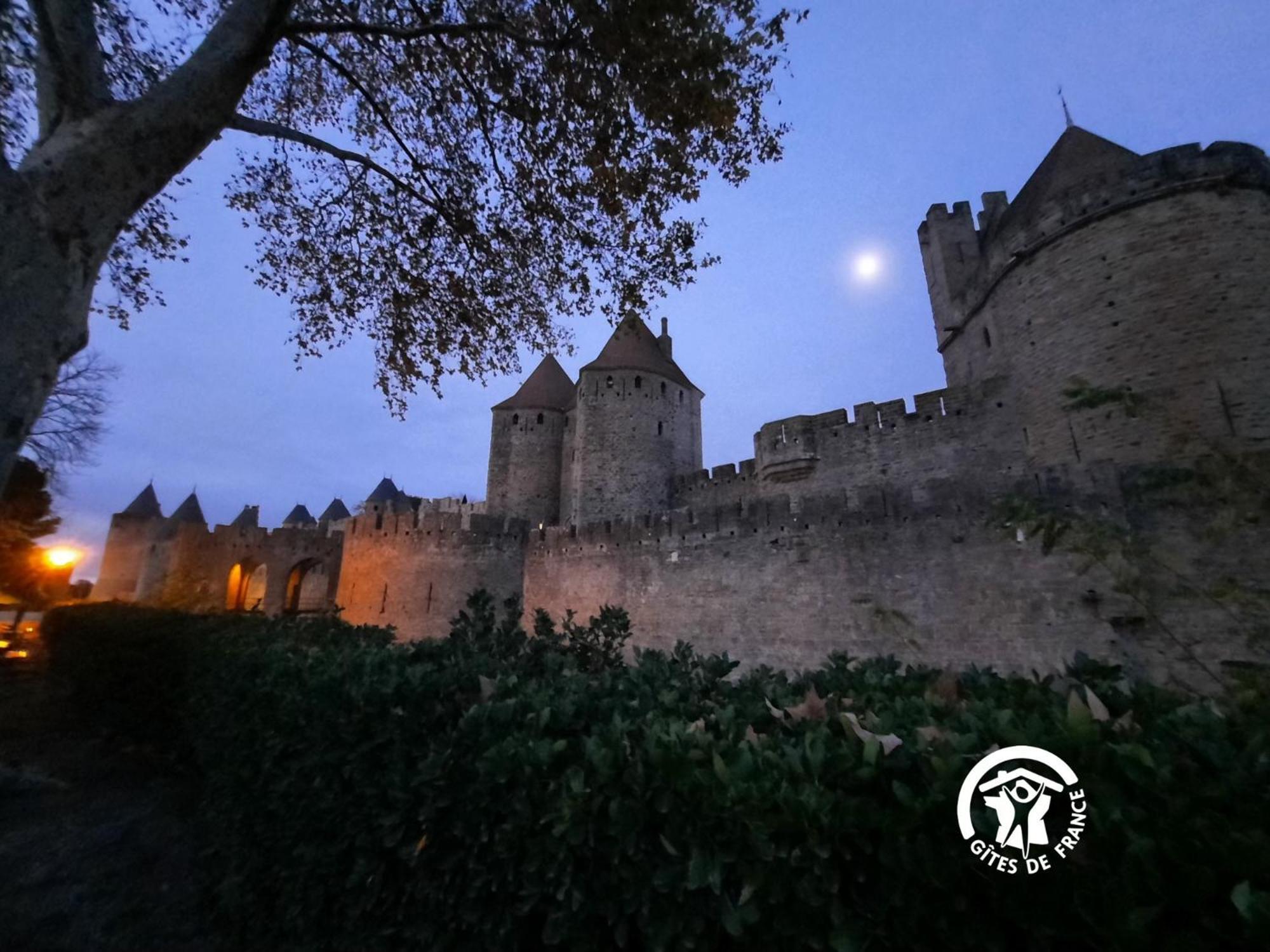 Loft Cocon Climatise - Imprenable Vue Sur Le Chateau Comtal Каркассон Экстерьер фото
